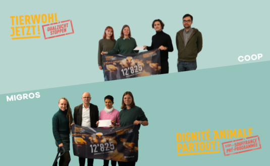 Mit 12’825 Unterschriften im Gepäck haben wir die «orangen Riesen» getroffen