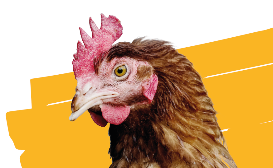 3R in der Landwirtschaft