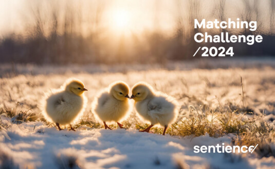 Danke für Ihre Unterstützung ❤️