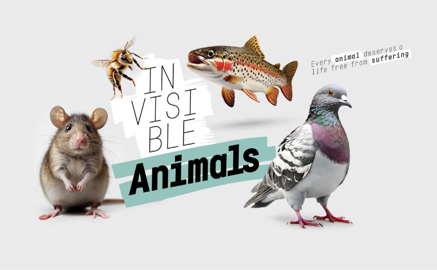Invisible Animals